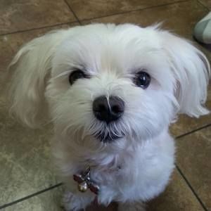 Meet your Posher, Tim